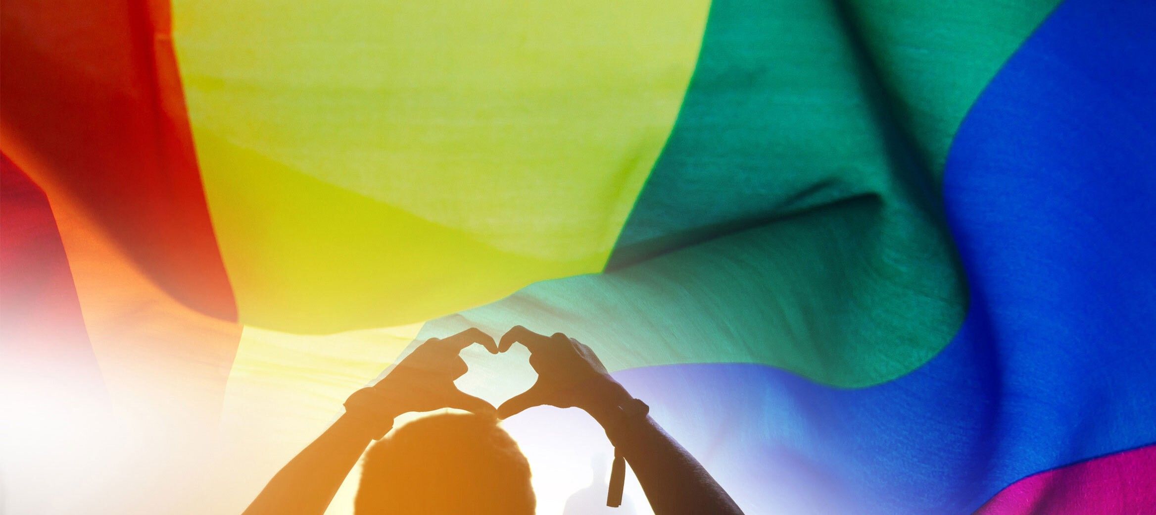 Premium Vector  Lgbt pride flags sexual diversity and gender