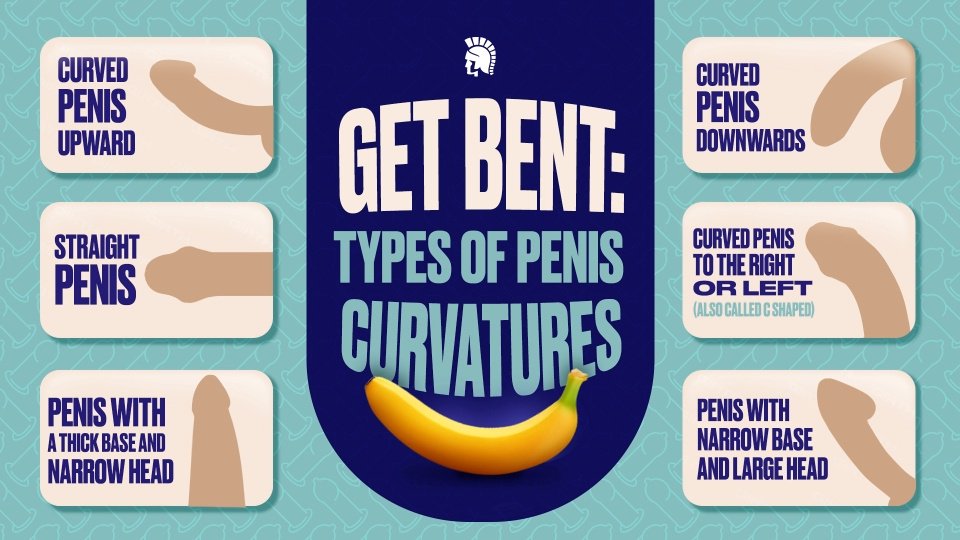 Infographic with images of curved penises.